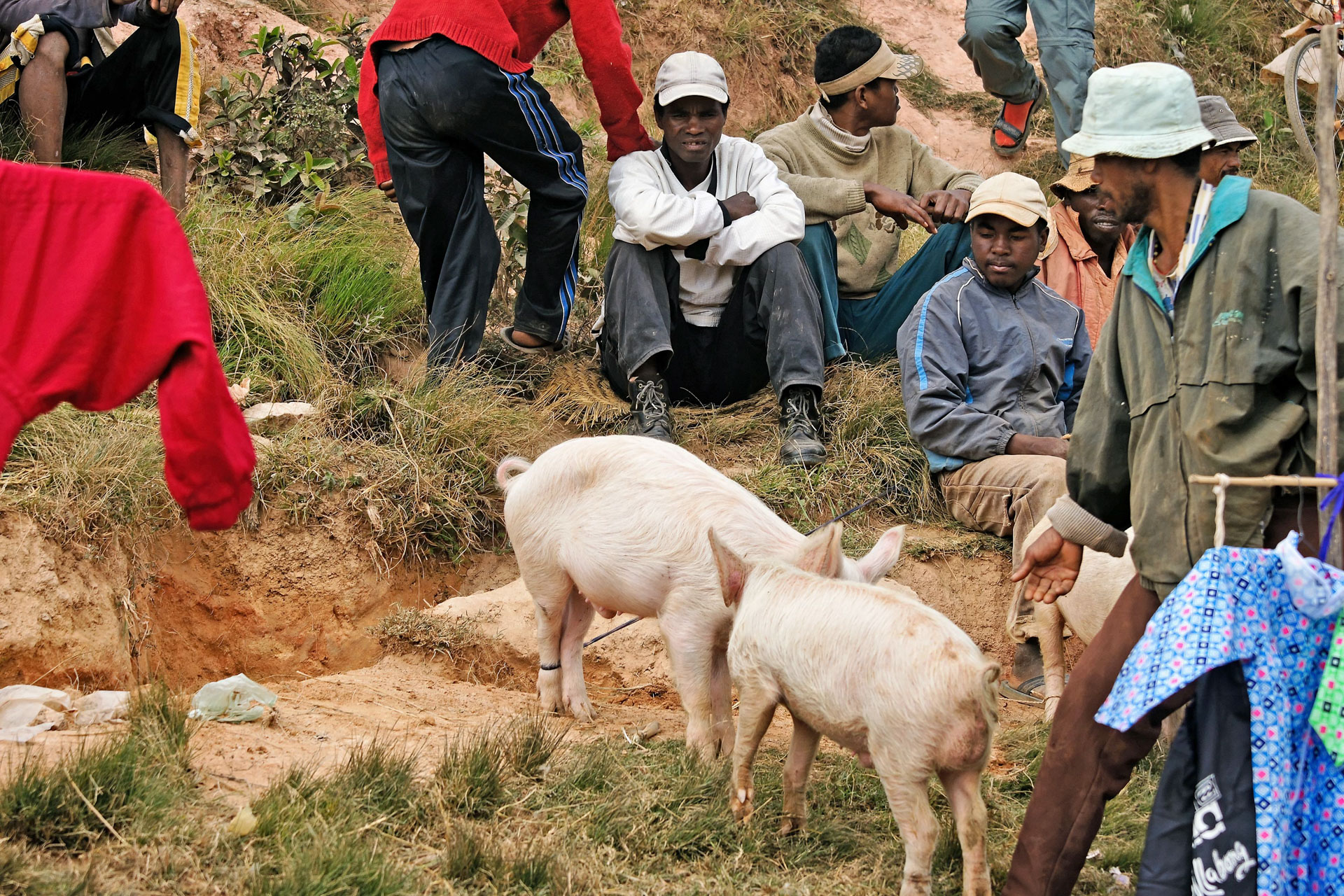 Markttag in Ambalavao
